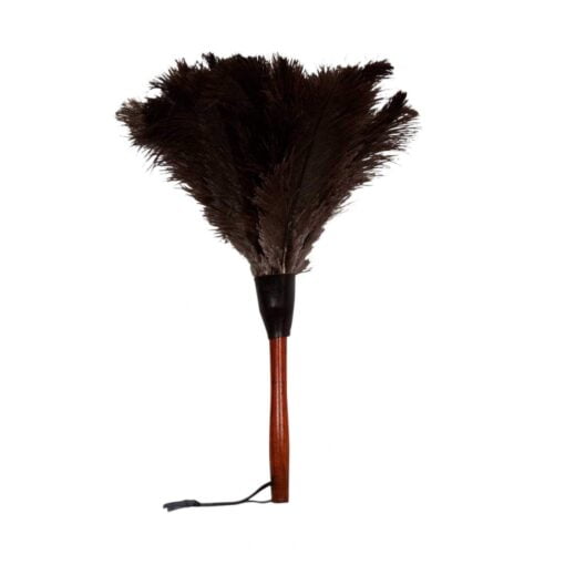 feather duster, small ostrich feather duster